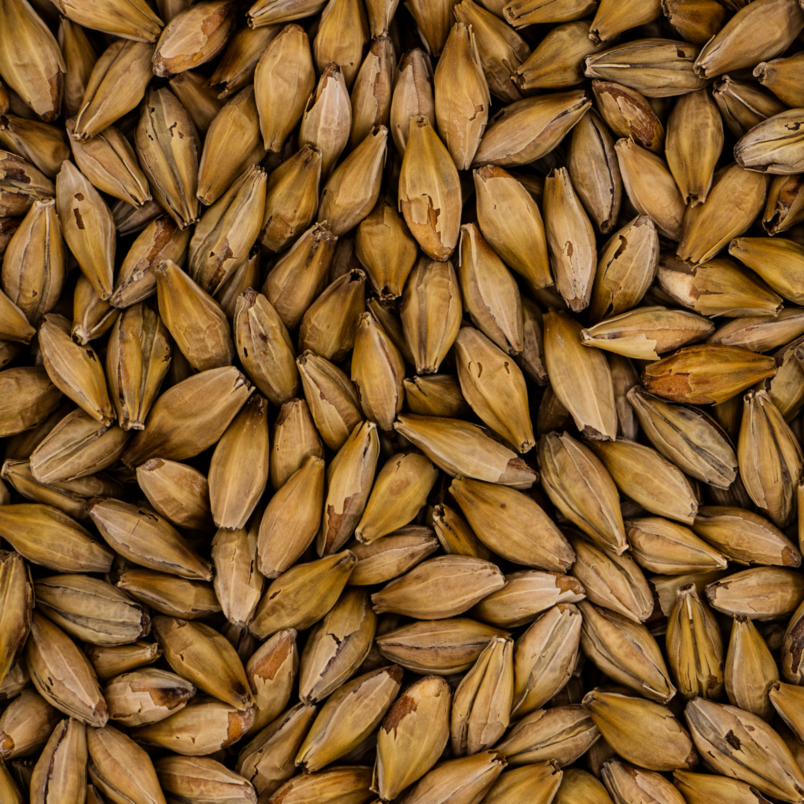 Aromatic Malt