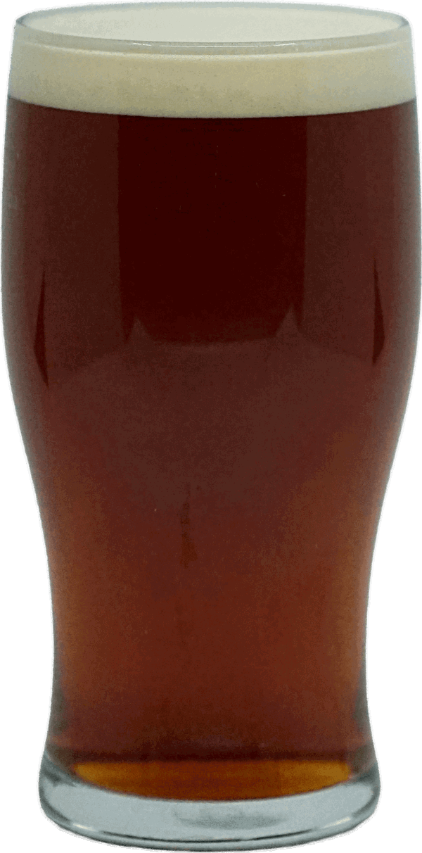 Scotch Ale
