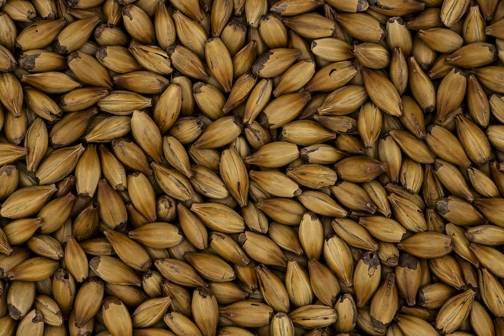 Crystal Medium | Rich Toffee Sweetness & Deep Malt Colour