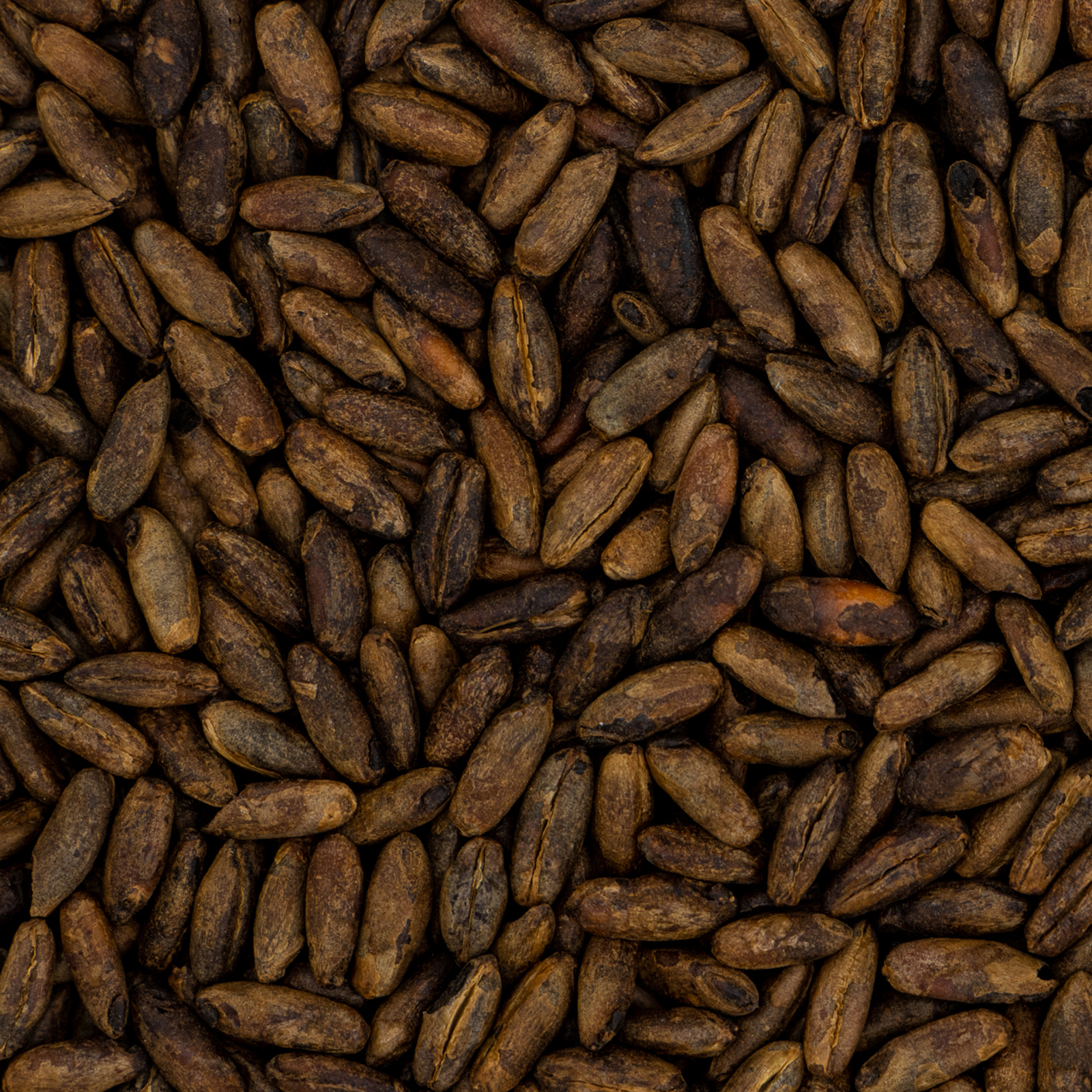 Red Rye Malt Red Rye Crystal | Sweet, Spicy Malt for Seasonal Beers