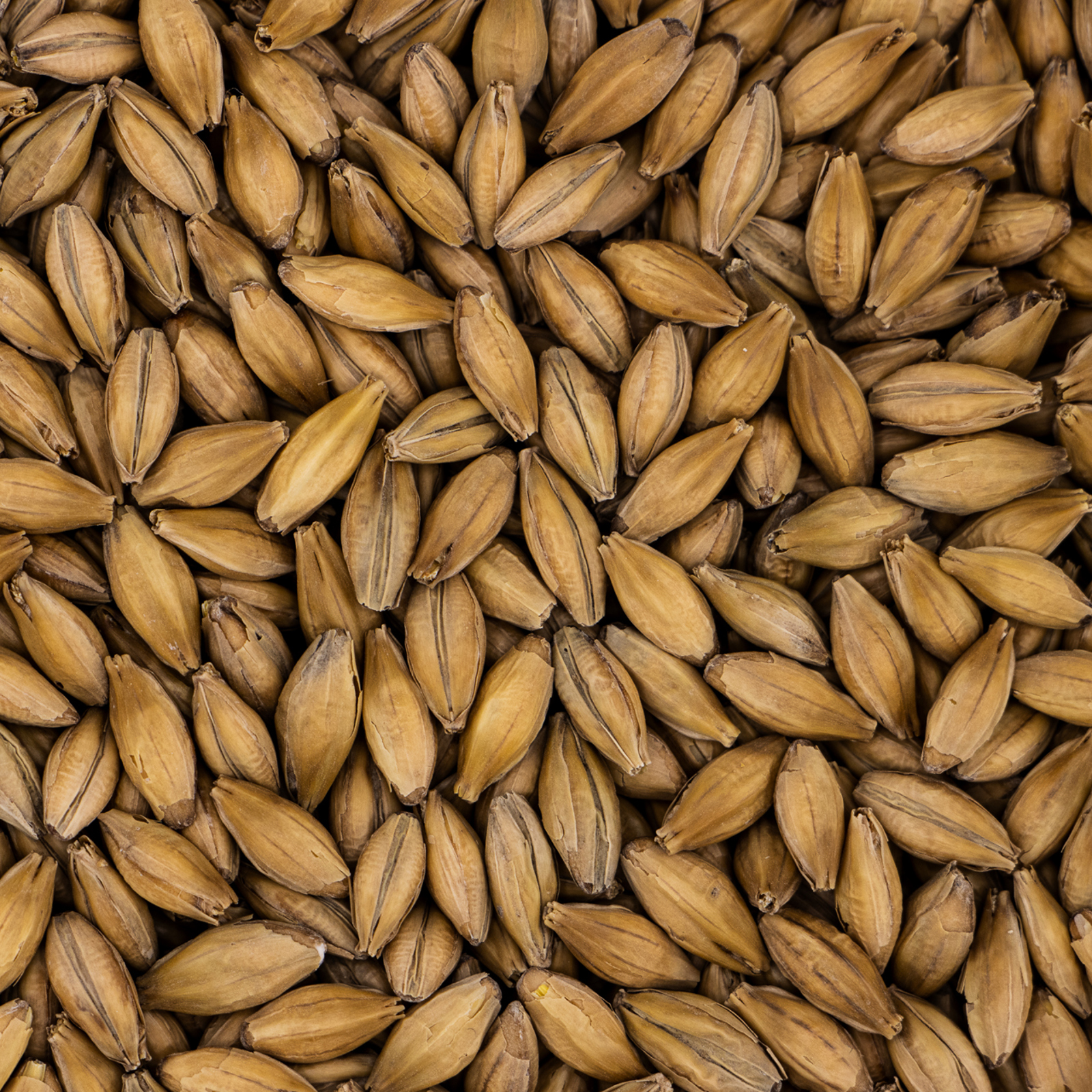 Low Colour Maris Otter