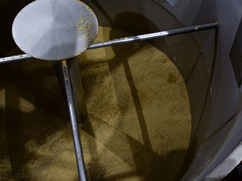 Steeping Process | The Most Important Part of Malting