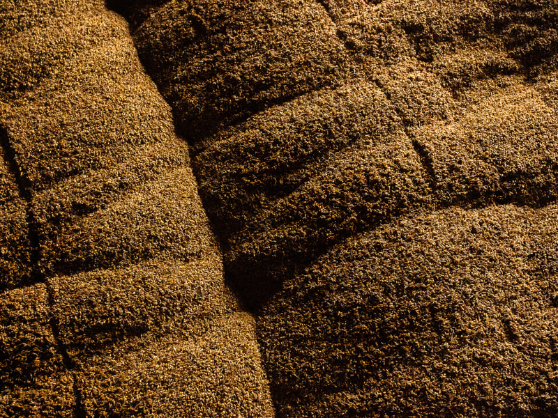 Malting Process | How Brewing & Distilling Malts Are Made