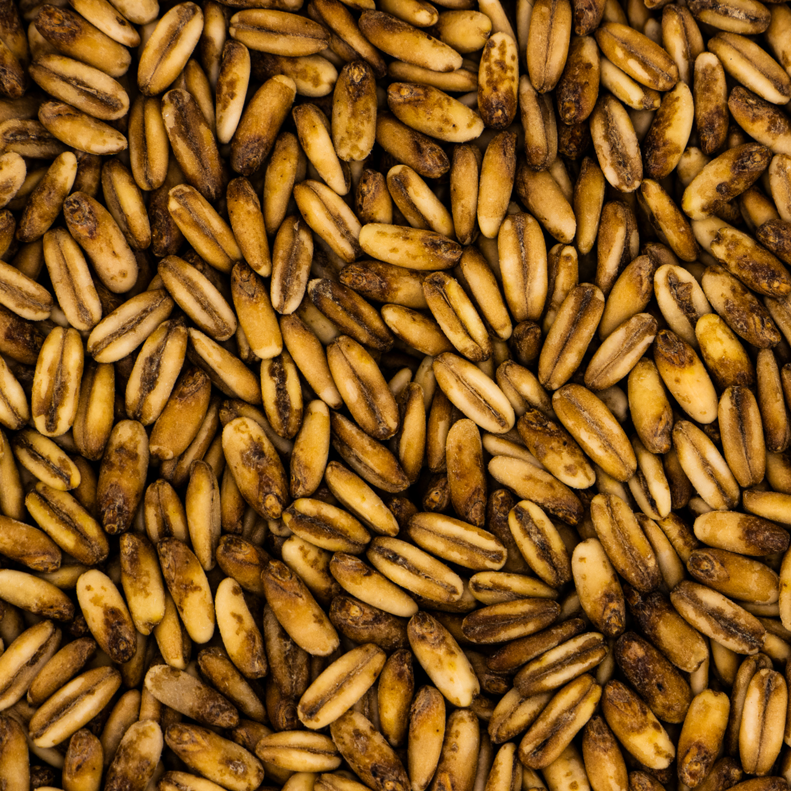 Golden Naked Oats®™