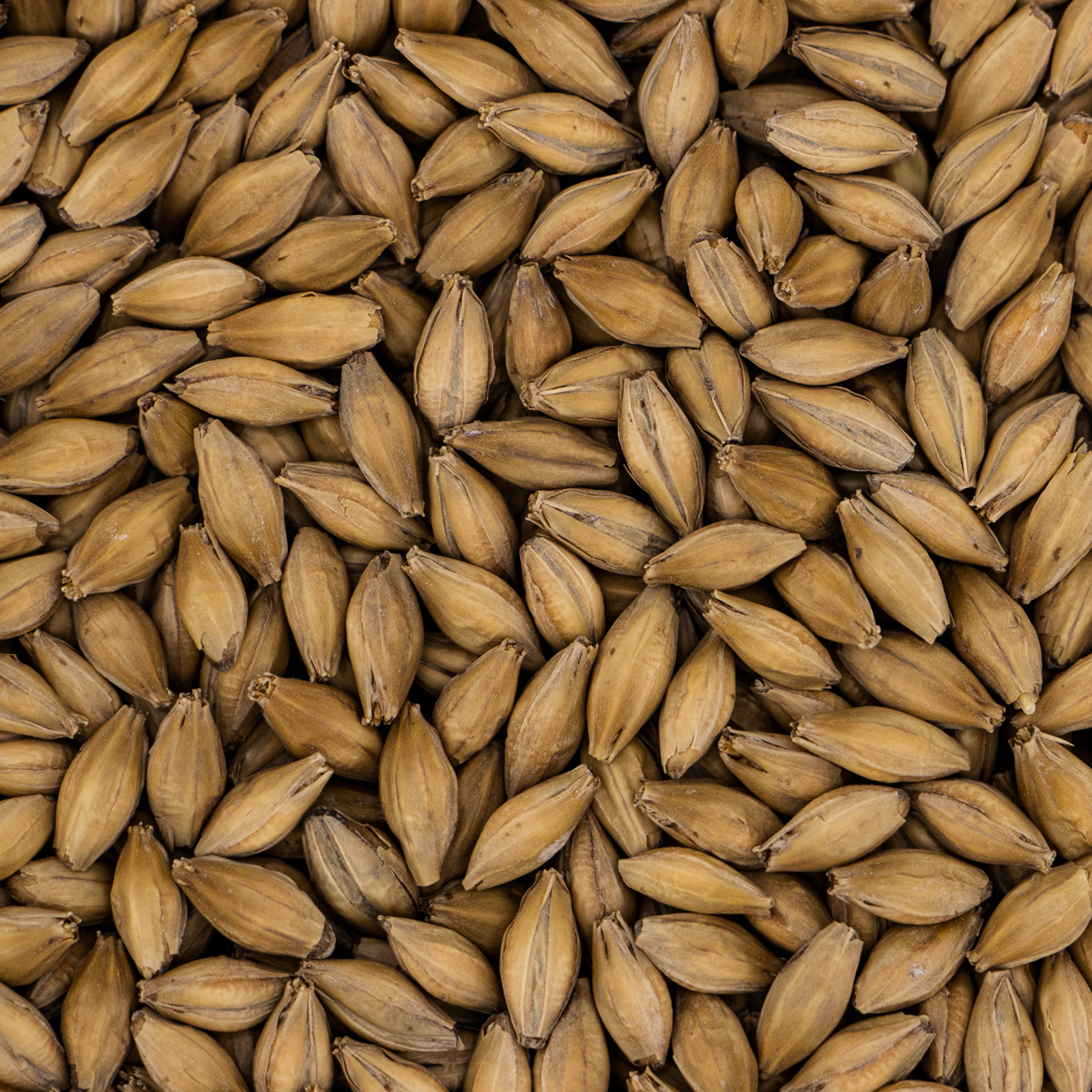 Finest Pale Ale Golden Promise®™