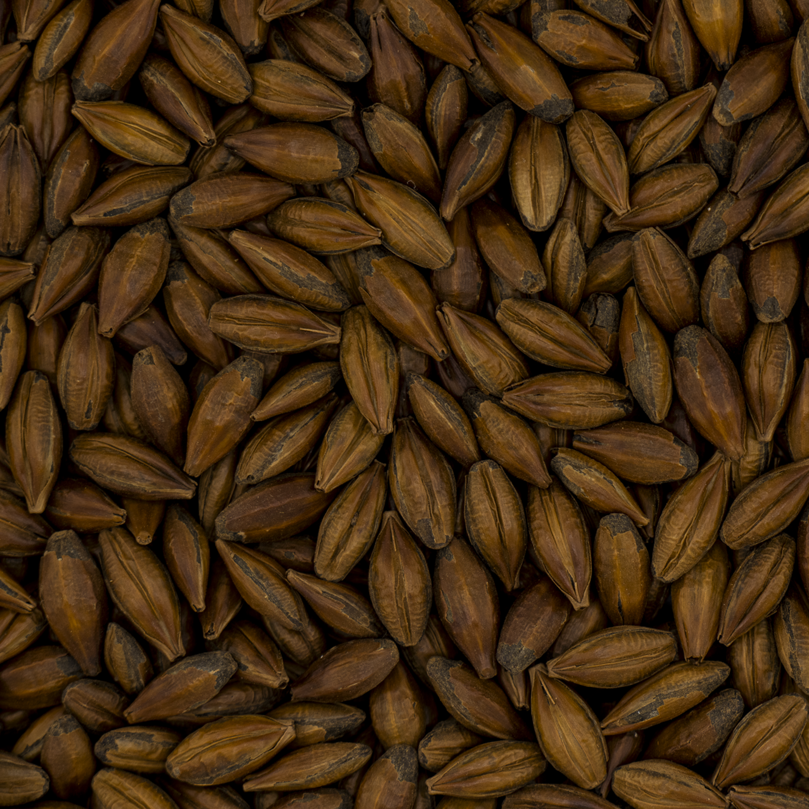 Brown Malt