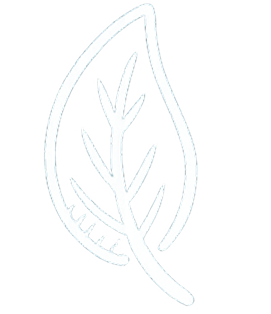 Environment Illustration