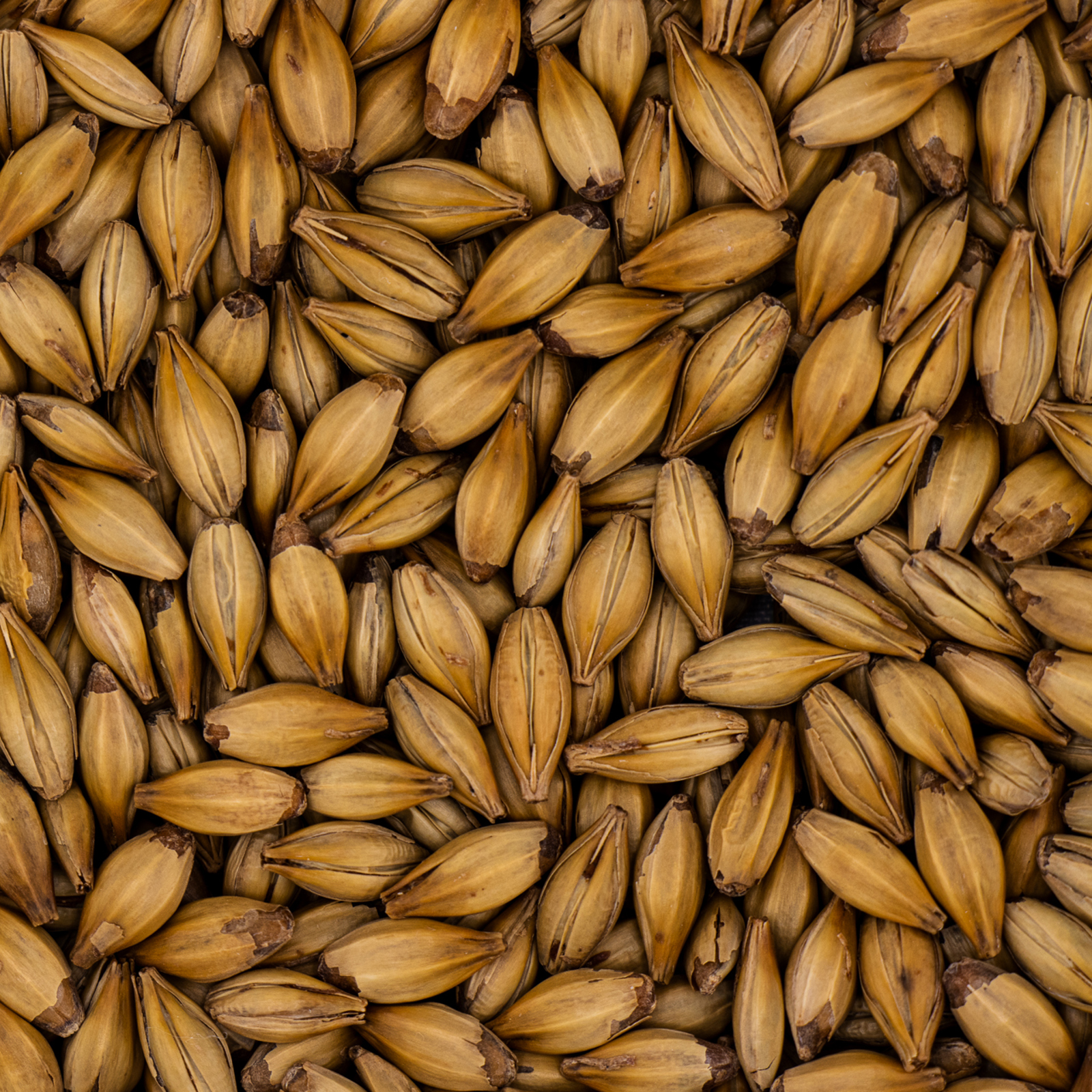 Premium English Caramalt