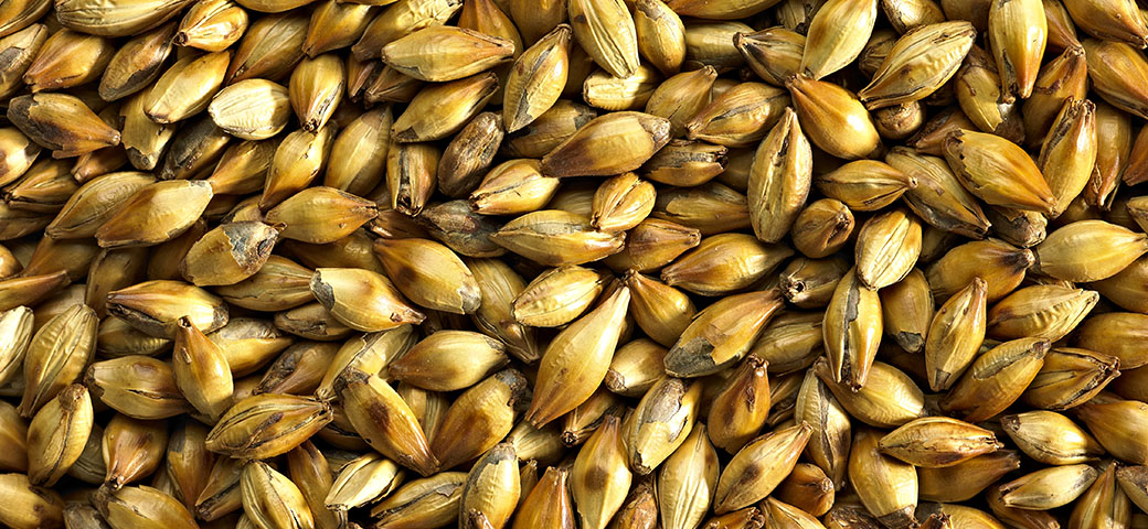 Dark Crystal Malt