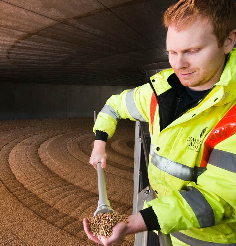 Simpsons Malt employee examining malt