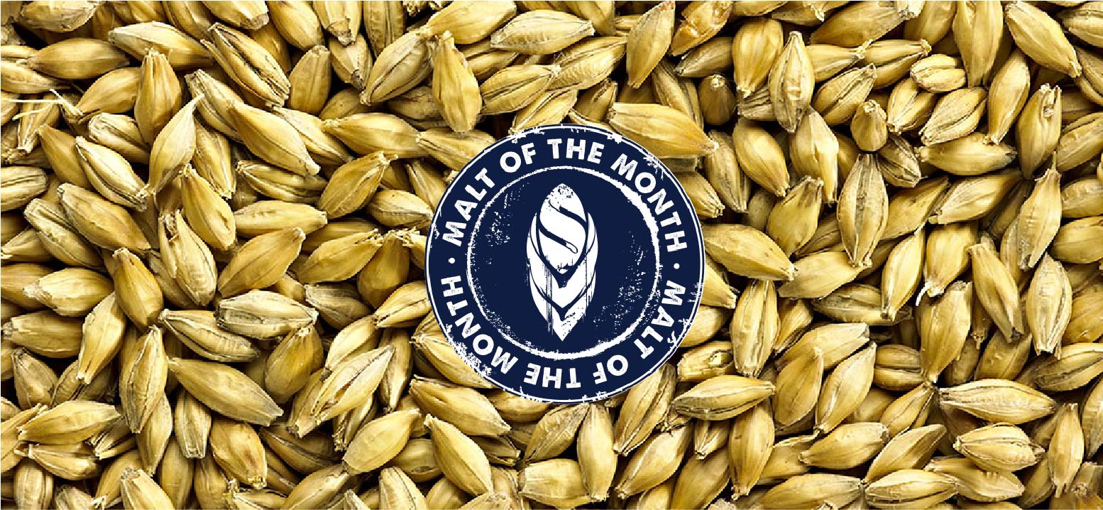 Malt of the Month Finest Pale Ale Golden Promise Simpsons Malt